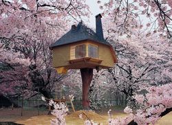 Teahouse Tetsu by Terunobu Fujimori & Nobumichi Oshima {Fragrant Images & Ads}