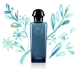 Hermès Les Colognes Eau de Narcisse Bleu & Eau de Mandarine Ambrée (2013) {New Perfumes}