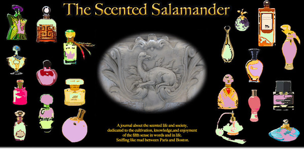 banner_black_original_scented_salamander.jpg