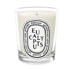 Diptyque's Next Candle is Called Eucalyptus (2013) {New Scent} {Home Fragrance}