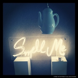 Should We Curse, Love and Hate When Critiquing a Fragrance? {Scented Thoughts}