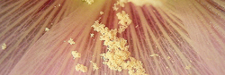 This is Not a Fragrance Allergy {The 5th Sense in the News}
