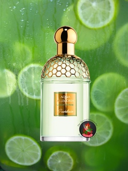 Guerlain Aqua Allegoria Limon Verde (2014) {New Fragrance}