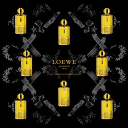Loewe Just Launched Luxurious Collection of 8 Fragrances Un Paseo por Madrid (2013) {New Perfumes}