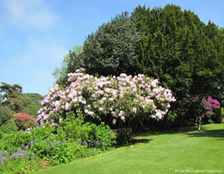 Chanel are Interested in Harvesting Floral Essences in the North of France {Fragrance News}