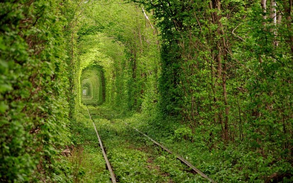 nature_love_tunnels_ukraine_1280x800_28686.jpg