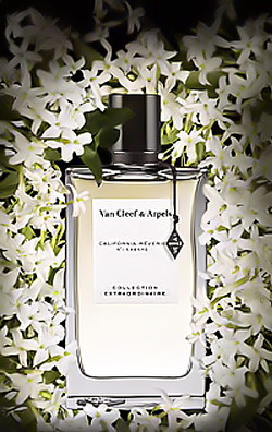 Van Cleef & Arpels California Rêverie (2014) {New Perfume}