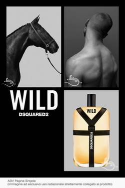 Dsquared2 Wild for Men (2014) {New Fragrance} {Men's Cologne}