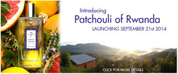 The 7 Virtues Patchouli of Rwanda (2014) {New Fragrance}