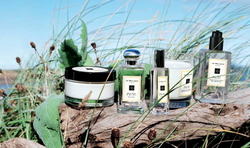 Jo Malone Wood Sage & Sea Salt (2014) {Perfume Review & Musings}