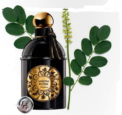 Guerlain Santal Royal (2014) {New Fragrance}