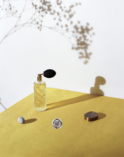 Diptyque Essences Insensées Showcases an Exceptional Mimosa Harvest (2014) {New Perfume}