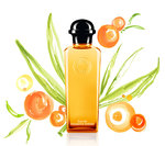 Orange-Colored Perfumes for a New Year {Ask Chantal-Hélène} {Paris Photo} {Perfume List}