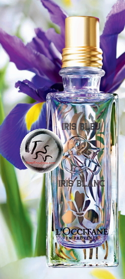 L'Occitane Iris Bleu & Iris Blanc (2015) {New Fragrance}