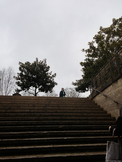 The Stairway for the Dead ~ L'Escalier pour les morts {Paris Photo}