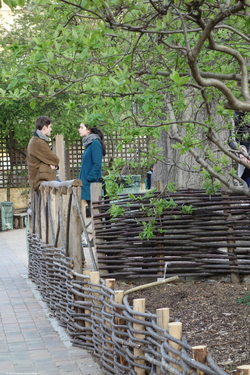 Simply Spring V - Lovers' Quarrel {Paris Photo}