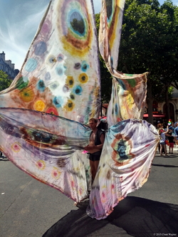 Essence of Summer II - Butterfly Man - Sun & Shade {Paris Photo}