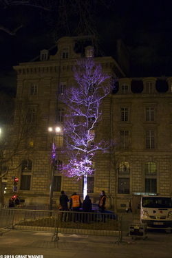 Prepping the Tree of Remembrance - Préparatifs autour de l'Arbre du Souvenir - 130 Street Photographies after the Paris Attacks {Paris Street Photo}