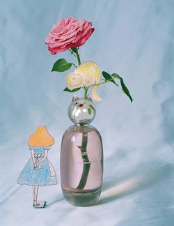 Grace Coddington x Comme des Garçons Grace (2016) ≈ More Deets {New Perfume} {Celebrity Fragrance}