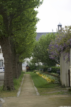 The Countryside in Paris ≈ La campagne à Paris {Paris Street Photo}