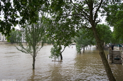 Floods in Paris Part II - Les inondations à Paris, 2ème partie {Paris Street Photo}