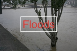 Floods in Paris on June 2, 2016 ≈ Les inondations à Paris le 2 juin 2016 / Part I {Paris Street Photos}