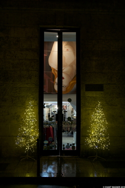 Christmas Trees in Paris - Advent Recap {Paris Street Photography}