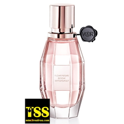 Viktor & Rolf Flowerbomb Bloom (2017) {New Fragrance}
