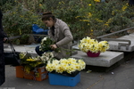 Daffodil Seller // Une vendeuse de jonquilles {Paris Street Photography}