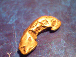 Alaskan Gold Nugget Tokositna.jpg