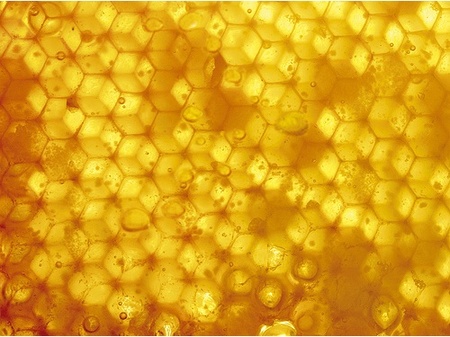 Honeycomb by Hi Paul.jpg