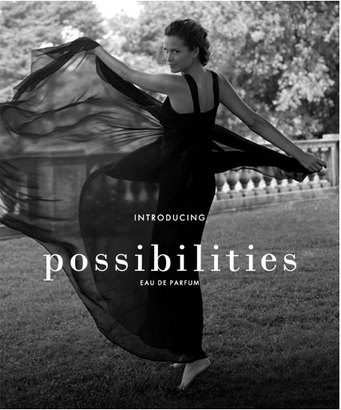 Possibilities Ann Taylor Ad.jpg