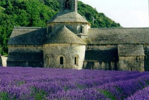 Abbaye de Senanque Provence.jpg