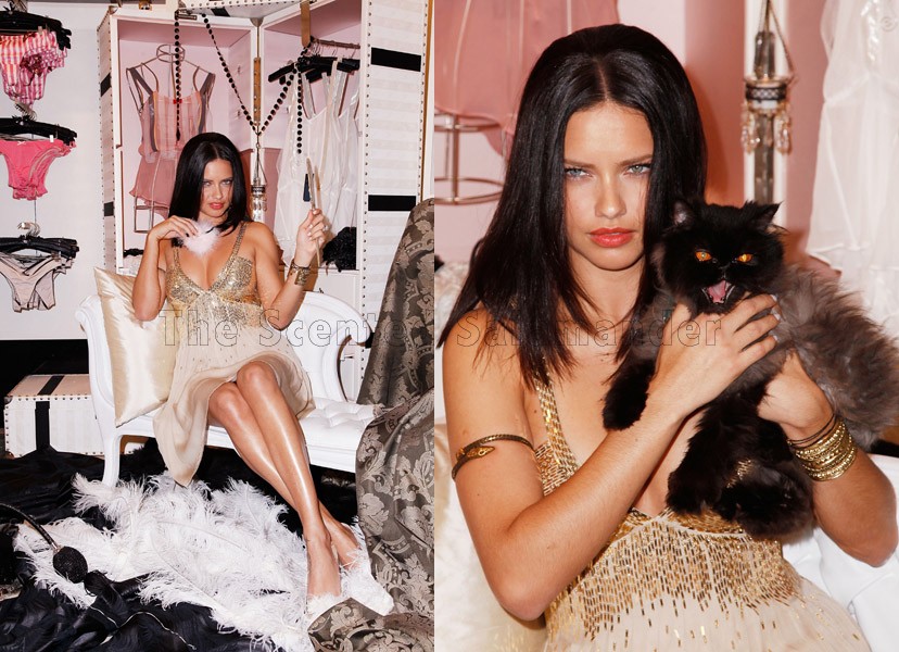 adriana lima hair color. with Adriana Lima (2009)