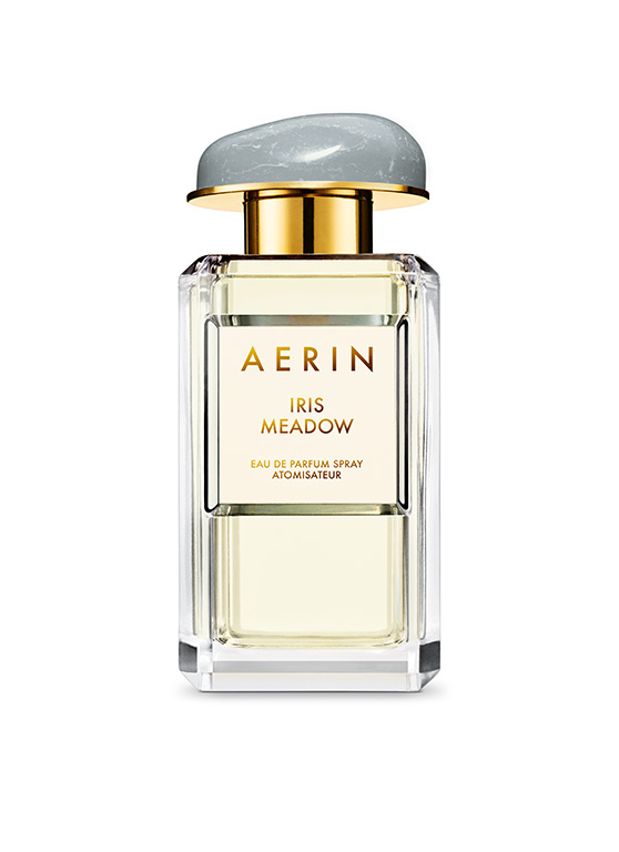 Aerin_iris_meadow.jpg