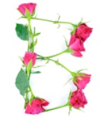 B-Letter-Rose-TSS.jpg