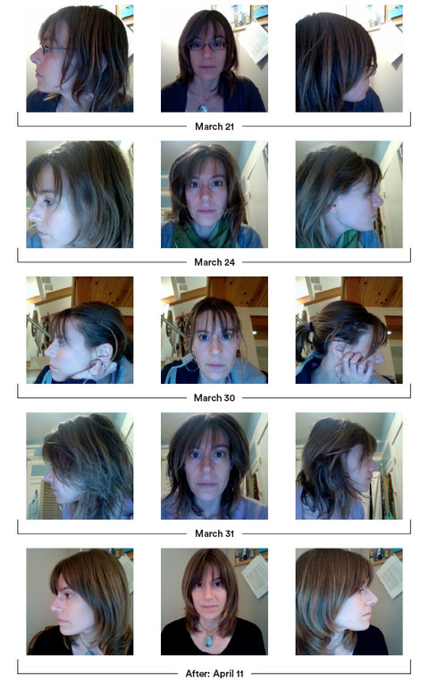 Bacteria2-blog480-v3_Julia_Scott.jpg