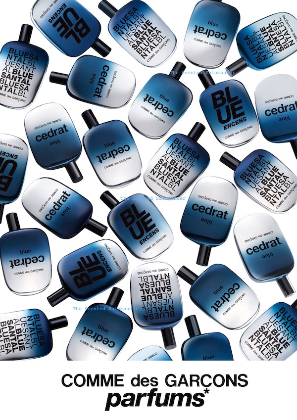Blue_visual_CDG.jpg
