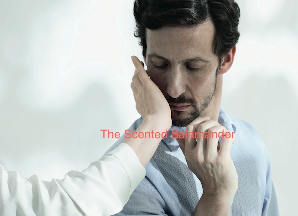 Candour_Visual.jpg