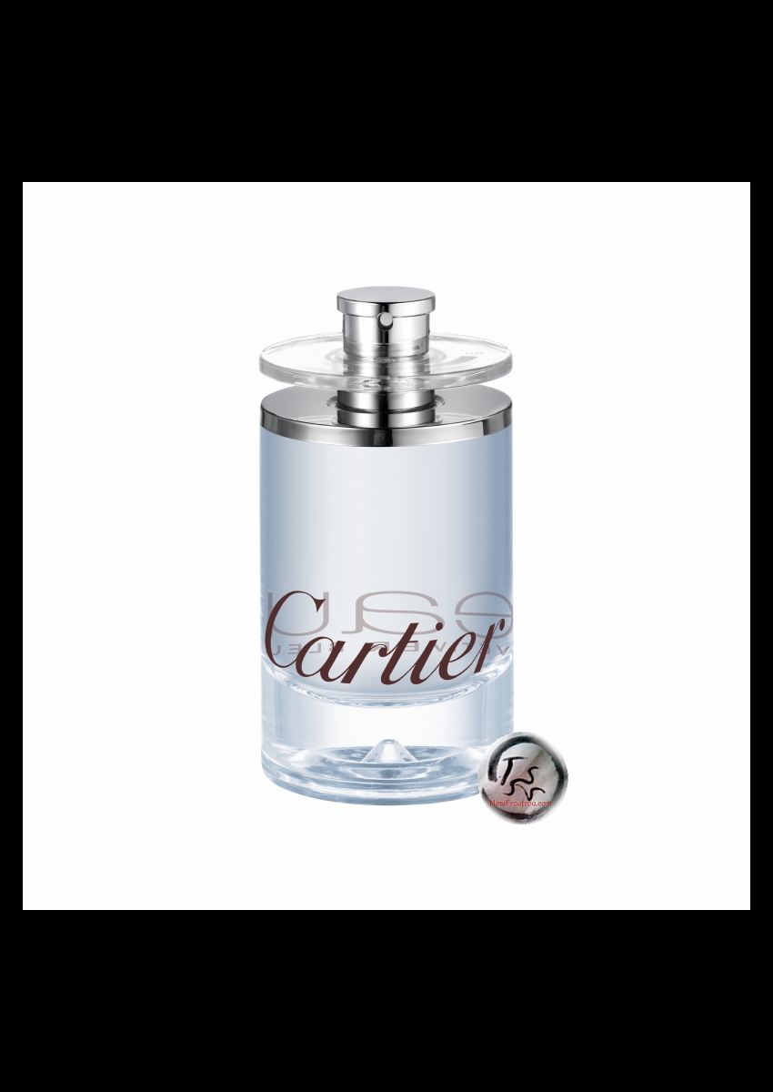 Cartier_eau_vetiver_bleu.jpg