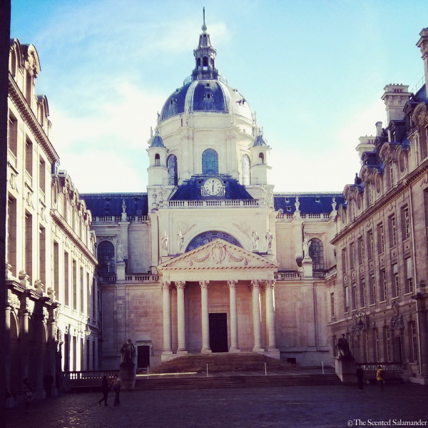 Cour_de_la_Sorbonne.jpg