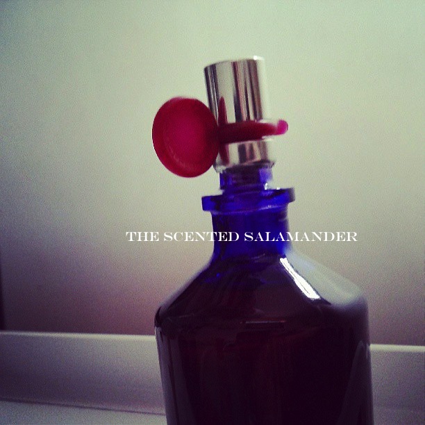 Curve_Connect_perfume_top.jpg