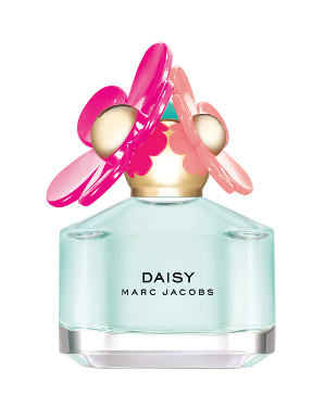 Daisy_Delight_duo.jpg