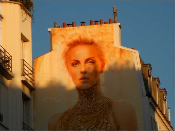 Dior_Jadore_Passy_2011_OK.jpg