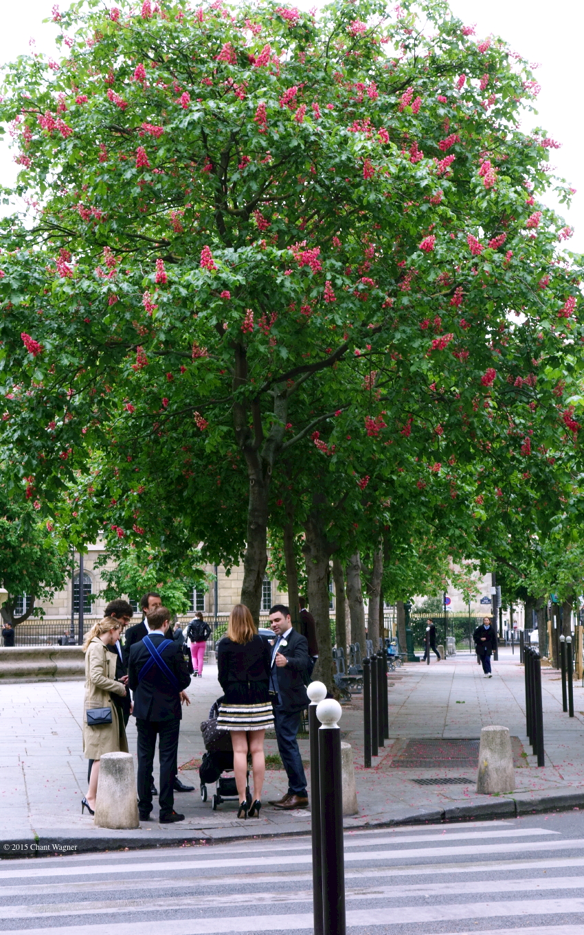 Family_Friends_under_the_Chestnut_Trees.jpg