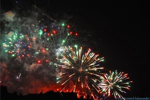 Fireworks-Bastille-2010-D.JPG