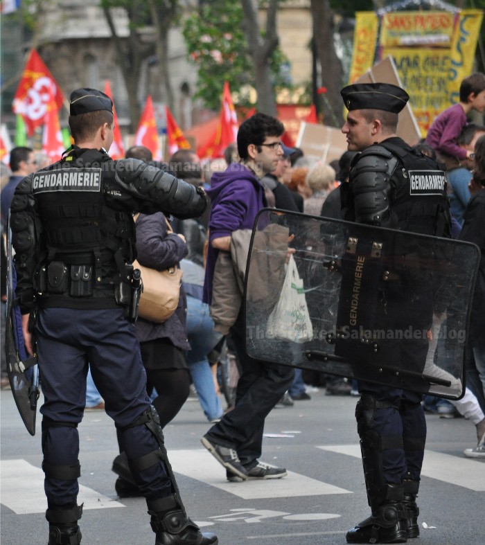 Gendarmes_Manif_3.JPG