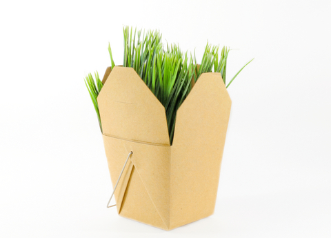 Grass-Box.jpg