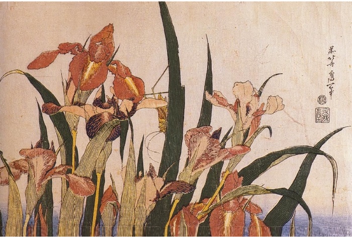 Hokusai-Iris.jpg