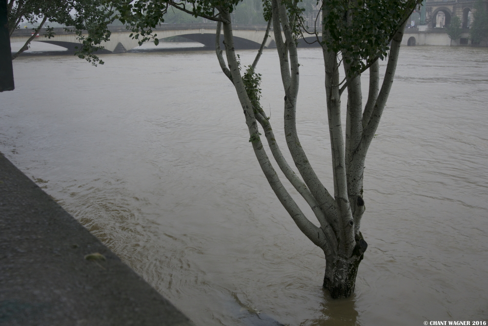 Inondations_3.jpg